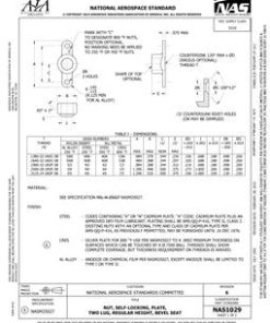 AIA NAS1029-2024 pdf