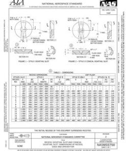 AIA NASM33750-2024 pdf