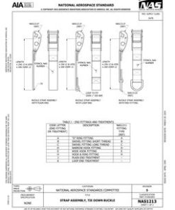 AIA NAS1213-2024 pdf