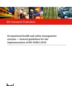 BS ISO 45002-2023 pdf