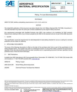 SAE AMSP81728C pdf