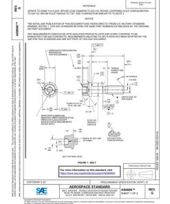 SAE AS9696G pdf