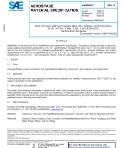 SAE AMS5655G pdf