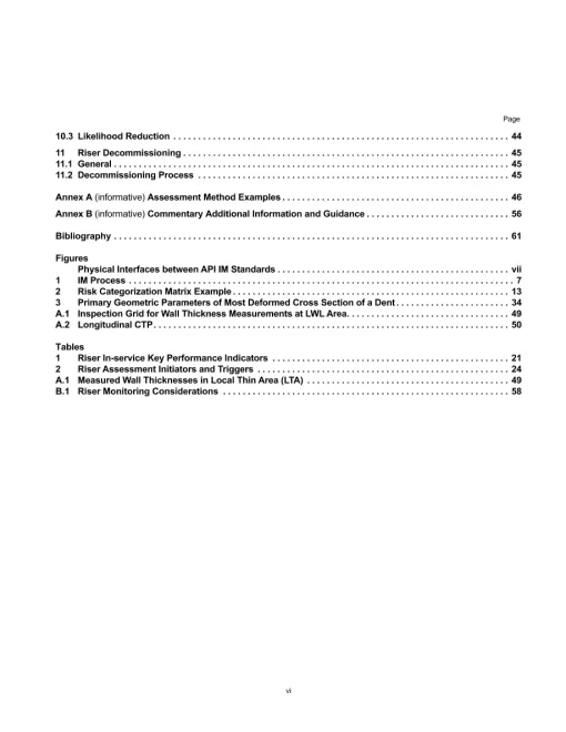 API RP 2RIM pdf