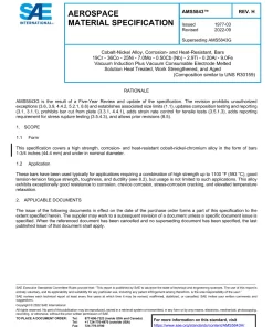 SAE AMS5843H pdf