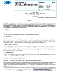 SAE AMS6528E pdf