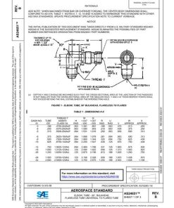 SAE AS24651B pdf