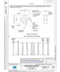 SAE AS85421/6B pdf