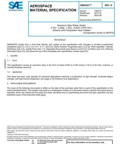 SAE AMS4207D pdf