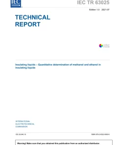 BS PD IEC TR 63025:2021 pdf