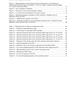 BS PD IEC TS 61966-13:2023 pdf